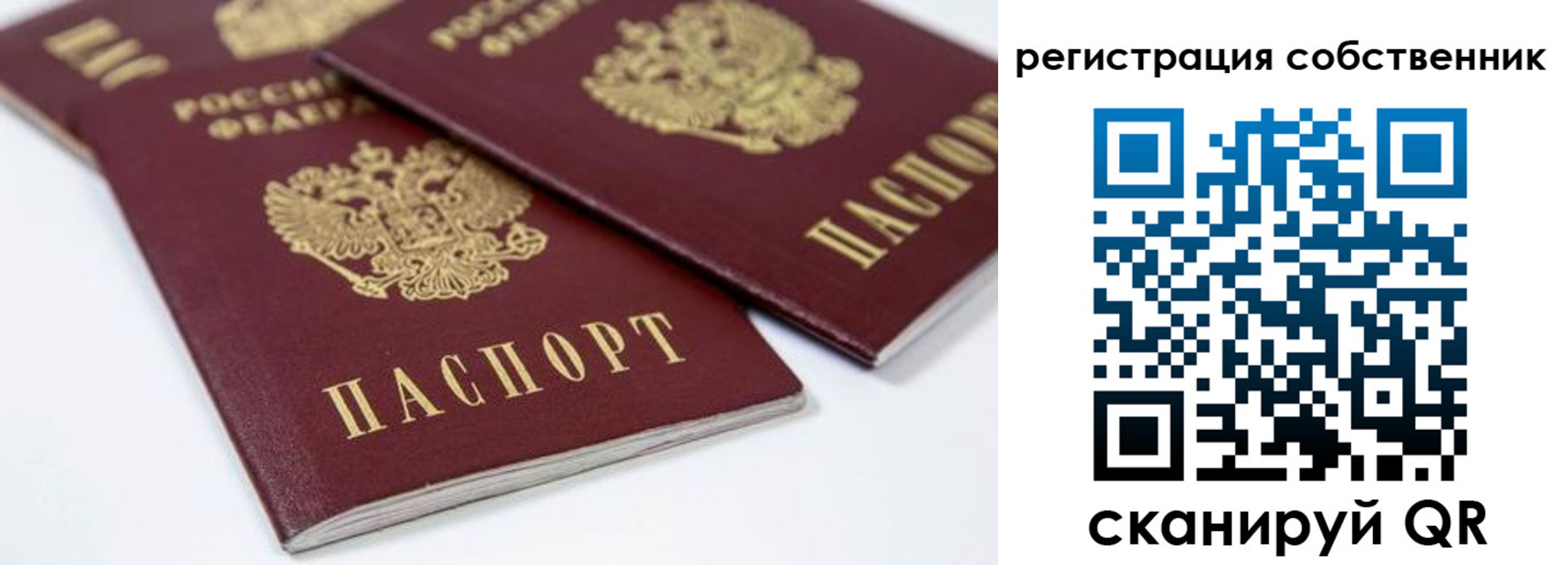 прописка для школы в Яхроме